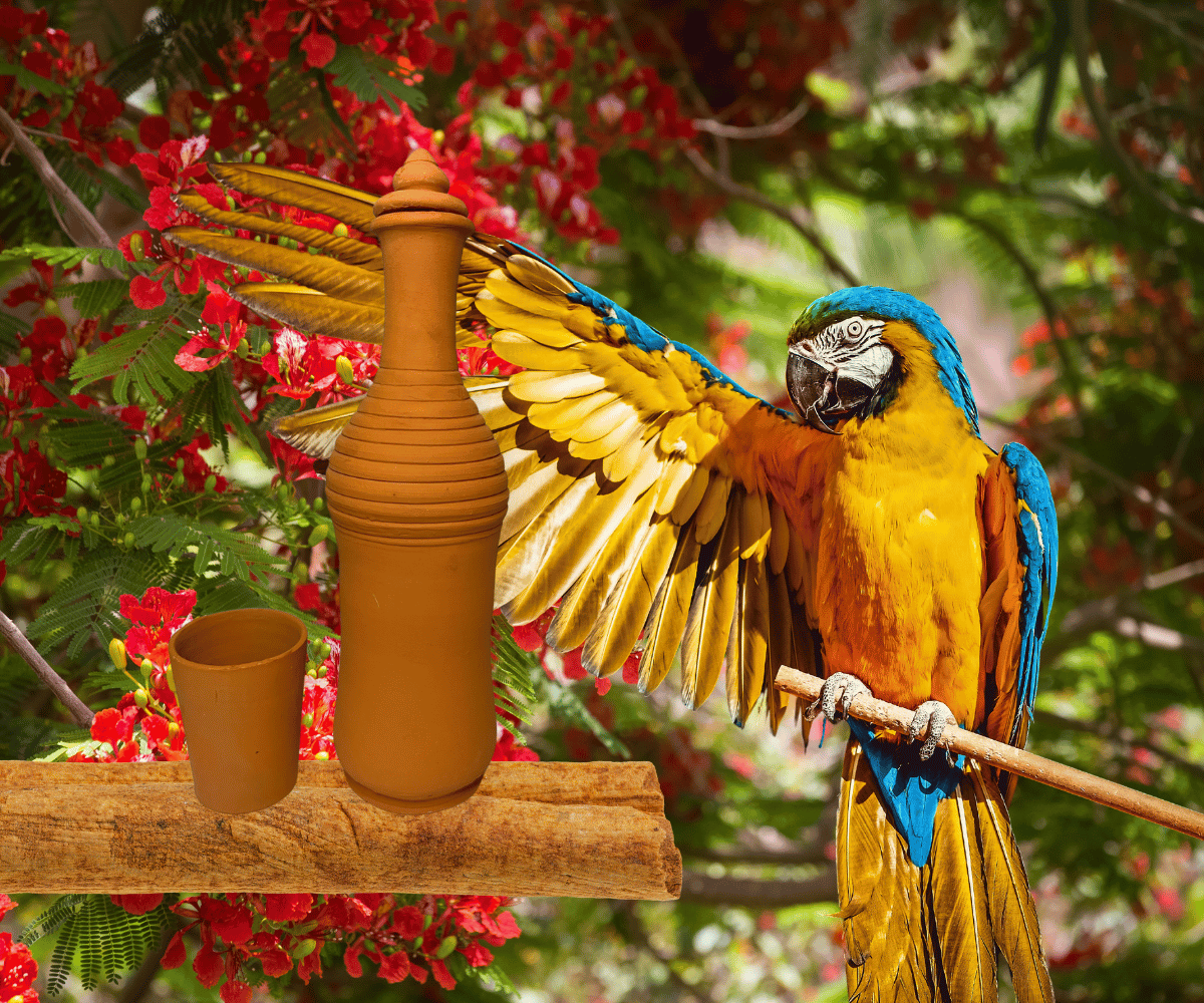 Unglazed Clay Bottle